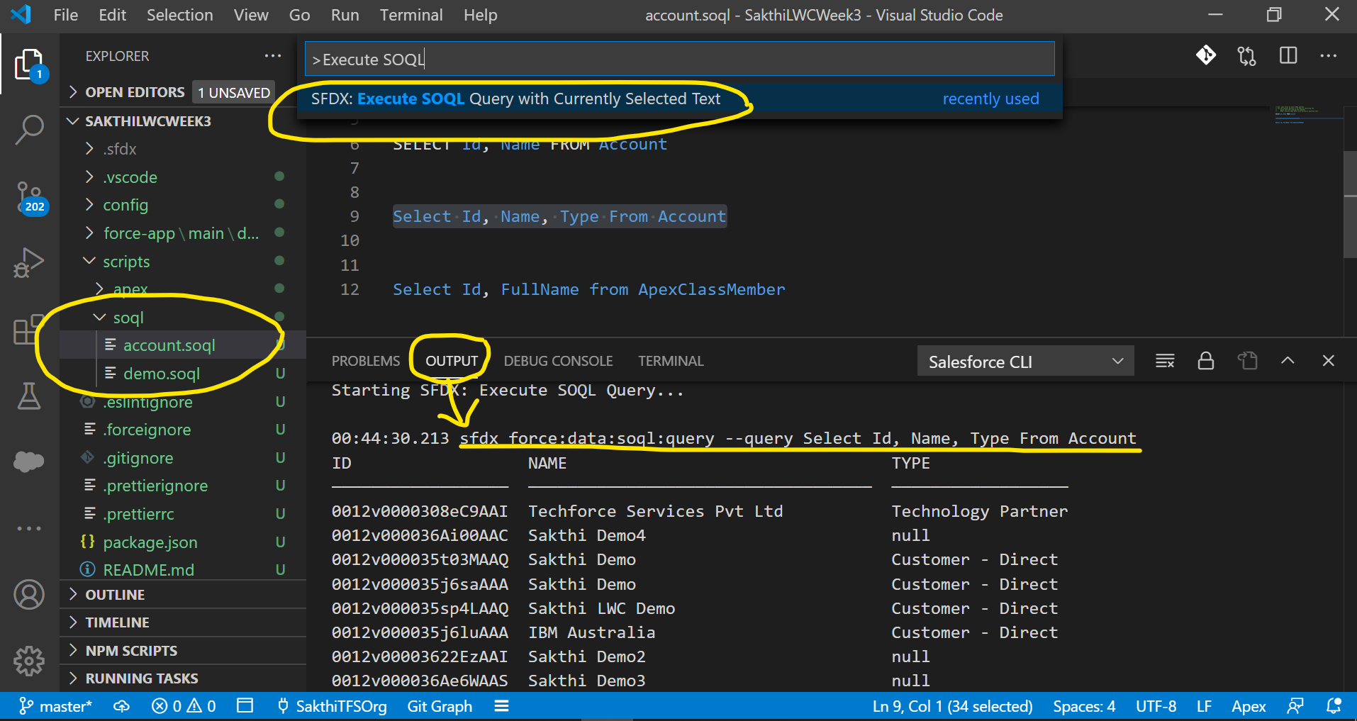 Visual Studio Code Tips - Execute SOQL in Visual Studio Code -  